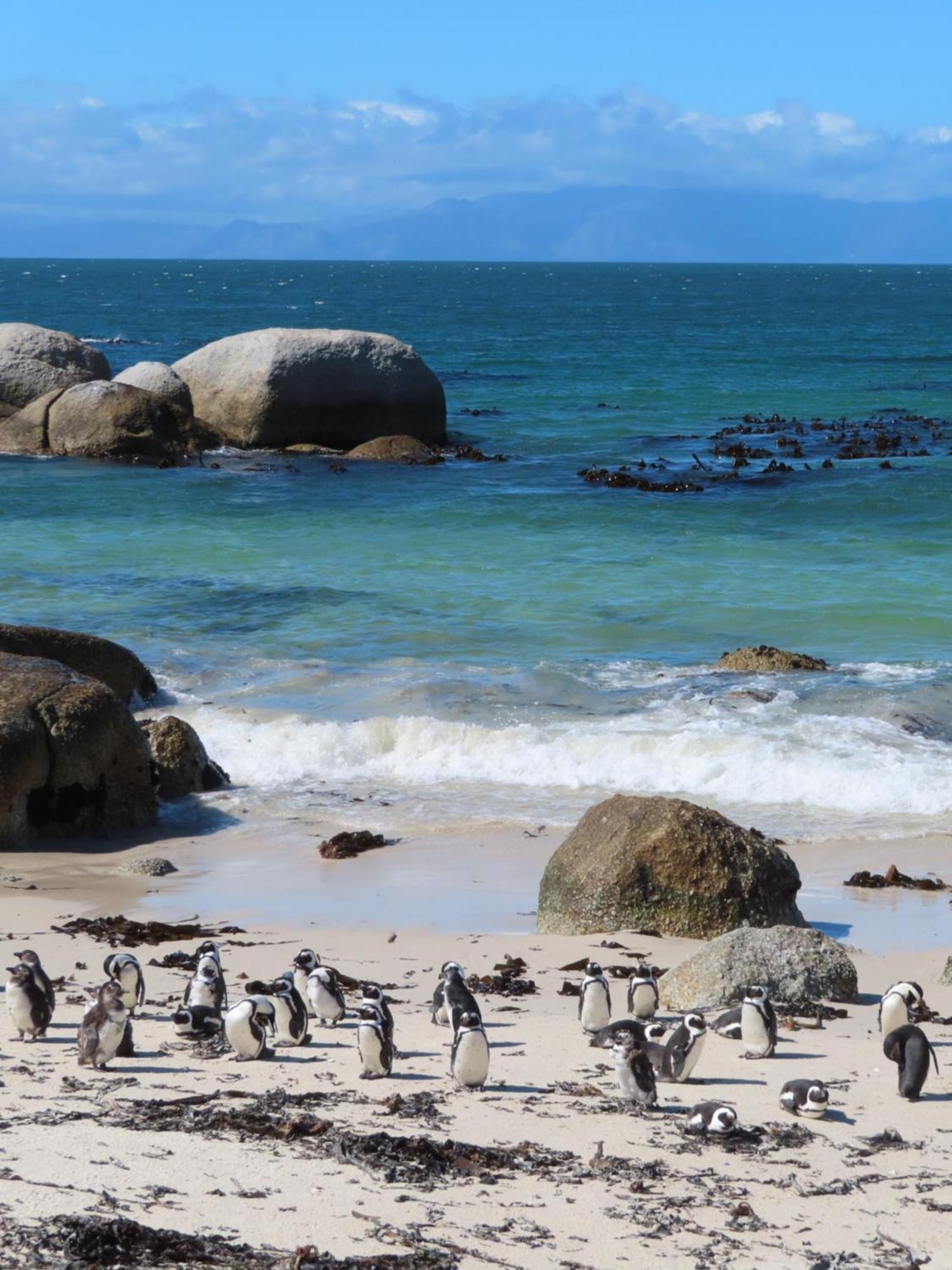 Апартаменты Bonne Esperance, Саймонстаун Экстерьер фото