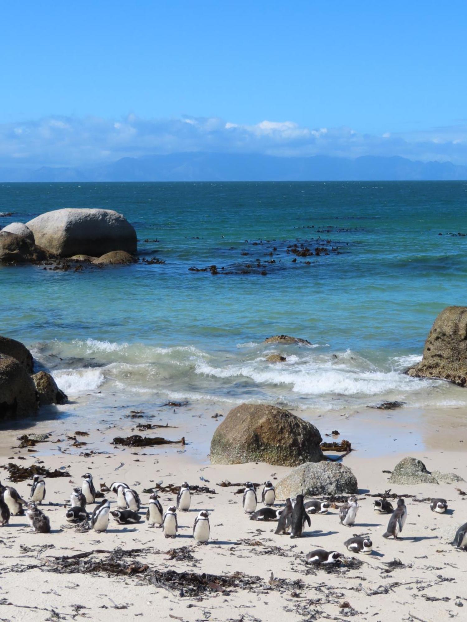 Апартаменты Bonne Esperance, Саймонстаун Экстерьер фото